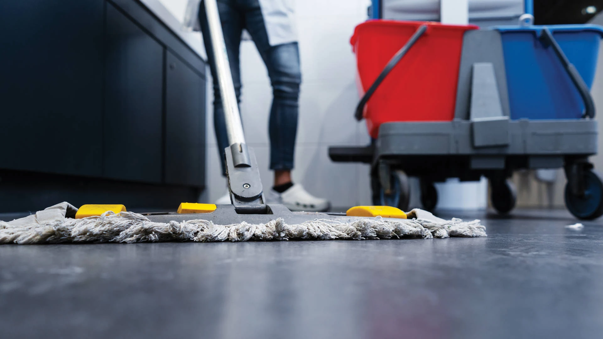 Tender for Subcontractor Services (Cleaning, Catering, Document Services)